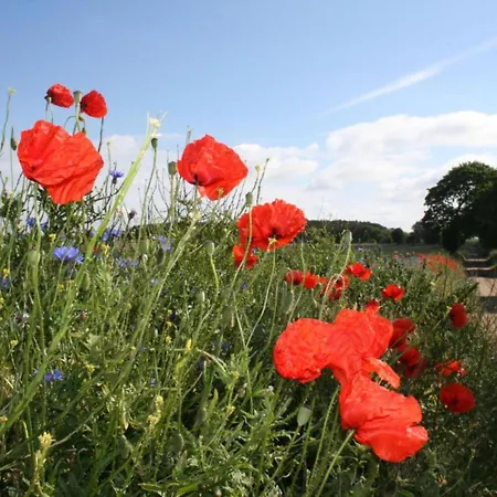 Semesterbostad Seestern Barnekow